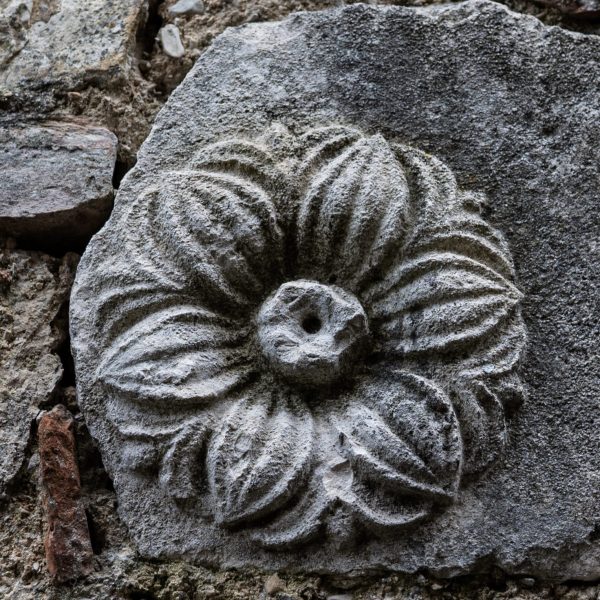 carlotta-delicato-b&B-20